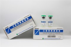 <b>注射用阿魏酸钠</b>